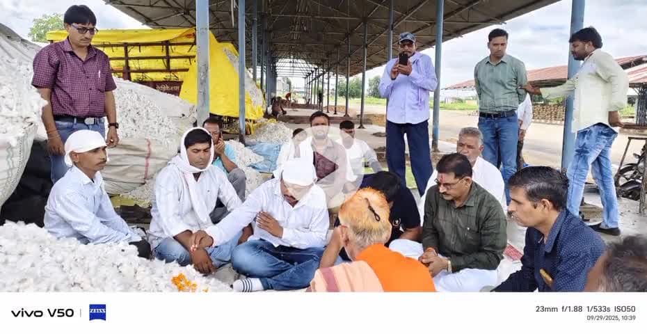 कसरावद  :  कसरावद मंडी परिसर में कपास खरीदी का मुहूर्त हुआ व्यापारियों ने कपास खरीदी पर लगाई बोली