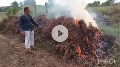 नीमच नगर: ग्राम अल्हेड़ में किसान ने 6.5 बीघा सोयाबीन काटकर खेत में लगाई आग