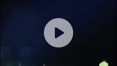 बीसलपुर: हरीपुर रेंज के पास दिखे नेपाली हाथी का वीडियो आया सामने