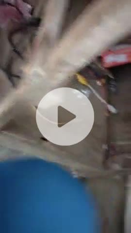 pondi hai dhdjdjejsjsjsjwuegsgeiwiehehrgehneheh