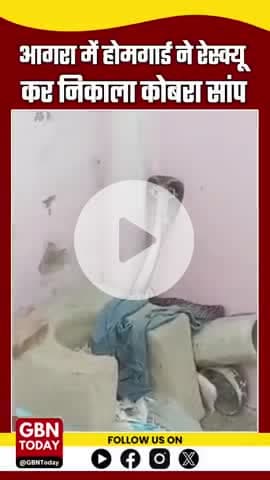 होमगार्ड ने रेस्क्यू कर निकाला कोबरा सांप 
#AgraBreaking #CobraRescue #gbntoday