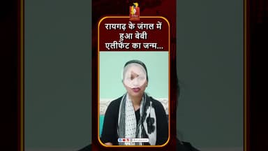 रायगढ़ : जंगल में बेबी हाथी का जन्म, लोगों में खुशी की लहर #khabaralok #news #chhattisgarhnews