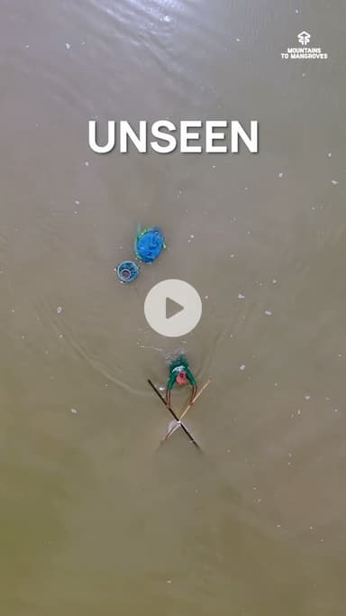 The #EasternHimalayas are home to some of Earth’s richest biodiversity.