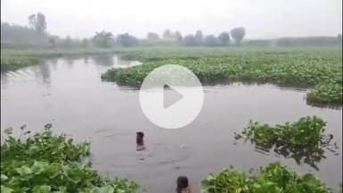 शामली: कसेरवा कला में तालाब में डूबने से 70 वर्षीय वृद्ध महिला की हुई मौत, एक दिन पहले हुई थी लापता