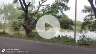 బూర్గంపహాడ్: పెరుగుతున్న గోదావరి వరద నీటి వల్ల బూర్గంపాడు మండలంలో ఉన్న పంట పొలాలకు నష్టం వాటిల్లుతున్నది