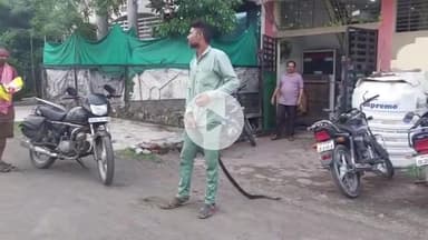 खंडवा नगर: विट्ठल नगर में दिखा आठ फीट का विशालकाय सांप, श्याम के पैर में लिपटा, फैली दहशत