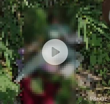 झाबुआ: ग्राम खेड़ा में युवक-युवती के शव की पोस्टमार्टम रिपोर्ट में बड़ा खुलासा, आत्महत्या नहीं, हत्या हुई