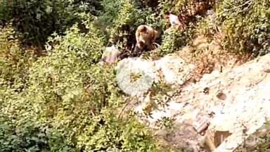 कंडाघाट: वाकनाघाट में फर्नीचर शॉप के नजदीक जंगल में मिला व्यक्ति का शव, कंडाघाट पुलिस कर रही मामले की जांच