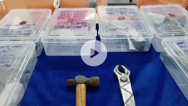 खंडवा नगर: खंडवा में ₹10 हजार का इनामी पिस्टल निर्माता गिरफ्तार, 10 देसी कट्टे व भारी मात्रा में असला बरामद