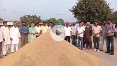 ਬਲਾਚੌਰ: ਬਲਾਚੌਰ ਦੀ ਦਾਣਾ ਮੰਡੀ ਵਿਚ ਝੋਨੇ ਦੀ ਖਰੀਦ ਹਲਕਾ ਵਿਧਾਇਕ ਸੰਤੋਸ਼ ਕਟਾਰੀਆ ਨੇ ਸ਼ੁਰੂ ਕਰਵਾਈ