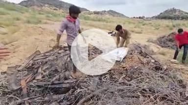 बाड़मेर: बाड़मेर में धू-धू कर जला 3 करोड़ का 'नशे का ज़हर', 18.5 क्विंटल अवैध डोडा पोस्त और 170 ग्राम स्मैक किया गया नष्ट