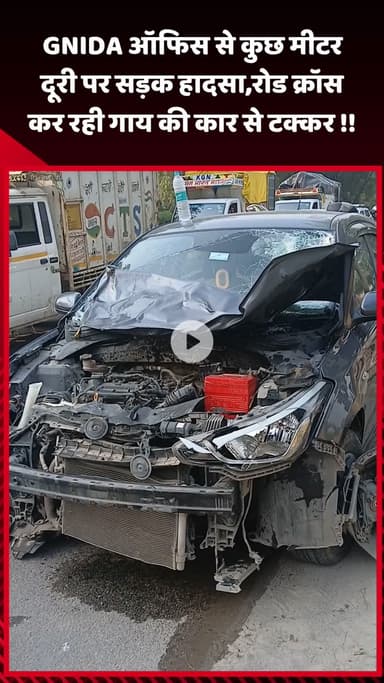गौतम बुद्ध नगर: GNIDA ऑफिस से कुछ मीटर दूरी पर सड़क हादसा, रोड क्रॉस कर रही गाय की कार से हुई टक्कर