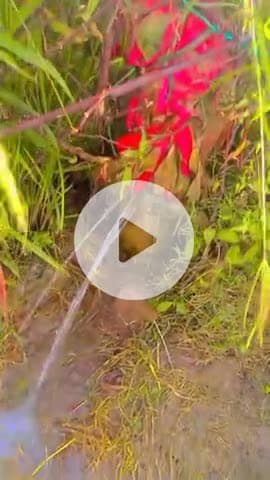 रघुनाथपुरा की न्यूज #रघुनाथपुरा_ki_news
ललितपुर