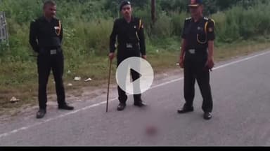 झांसी: मेडिकल कॉलेज के गेट नंबर-1 के पास नवजात शव को कुत्तों ने खाया, सिर मुंह में दबाकर सड़क पर आए तो गार्डों ने भगाया