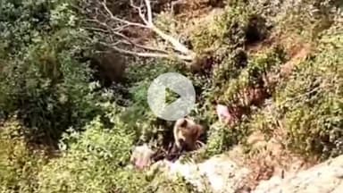 कंडाघाट के वाकना घाट में शव मिलने से क्षेत्र में फैली सनसनी,पुलिस थाना कंडाघाट की टीम कर रही गहनता से जांच #hillsnews24