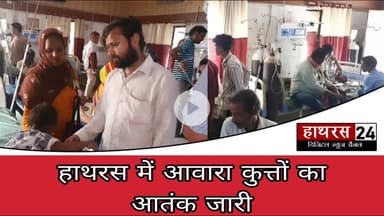 Uttarpradesh Nesw: हाथरस में आवारा कुत्तों का आतंक, 40 अधिक लोगों को काटकर किया घायल ......