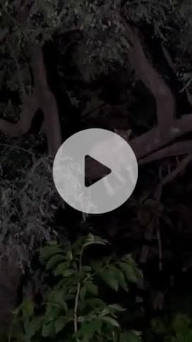 बहेरिया दरौली के बीच दिखा दुनिया