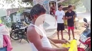 पट्टी: दयालगंज बाजार में सांप निकलने से लोगों में दहशत फैल गई