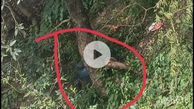 कंडाघाट: वाकनाघाट में सड़क किनारे मिले शव की पहचान हुई, मृतक यूपी कानपुर का था और ट्रांसपोर्टर के लिए मुनीम का काम करता था