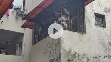 ગાંધીનગર: સેક્ટર 24 ખાતે મહિલા પોલીસ કર્મચારી હત્યાનો આરોપી અમરેલીથી ઝડપાયો