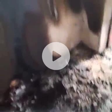 बाह: स्याहीपुरा में शॉर्ट सर्किट से श्रद्धा मिठाई की दुकान में लगी आग, लाखों का हुआ नुकसान