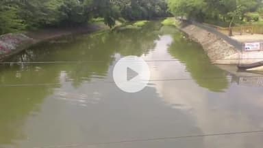 सागर नगर: बड़ी नदी में गंदा और कम पानी, दुर्गा प्रतिमा विसर्जन पर उठे सवाल