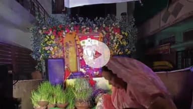 सागर नगर: जवारे विसर्जन में शामिल हुए भक्त, कृष्णगंज वार्ड से चकराघाट तक नृत्य और झांकियों के साथ यात्रा निकाली