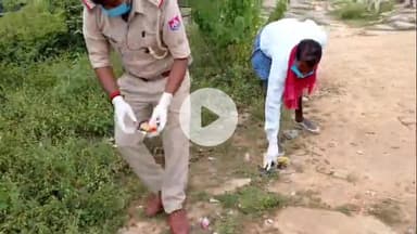 सासाराम: मांझरकुंड वन परिसर में स्वच्छता अभियान के साथ वन्यजीव सप्ताह 2025 की हुई शुरुआत