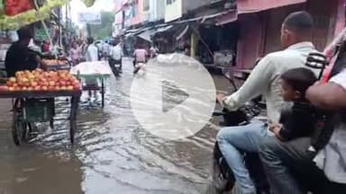 फतेहाबाद: फतेहाबाद में भारी बारिश के बाद गंभीर जल भराव से लोगों को हुई परेशानी, खेतों में भरा पानी