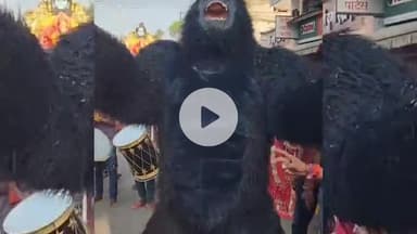 खंडवा नगर: खंडवा की सड़कों पर गोरिल्ला का धमाकेदार डांस, दशहरे पर शहरवासी खुशी से झूम उठे
