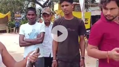 पट्टी: लगातार दूसरे दिन भी दयालगंज बाजार में निकला कोबरा सांप, राहगीरों में दहशत का माहौल