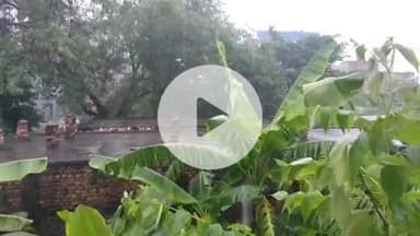 मुशहरी: दशहरा के दिन जिले में हुई झमाझम बारिश