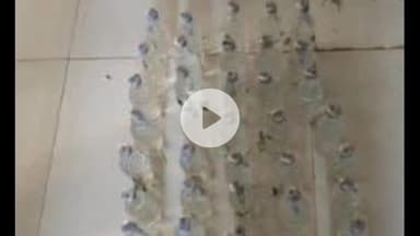 नबीनगर: महदुआ से शराब के साथ एक बाइक जब्त, चालक फरार