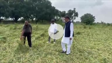 छिबरामऊ: छिबरामऊ क्षेत्र में 1 दिन की झमाझम बारिश से किसानों की फसल बर्बाद, SP पार्टी के पूर्व विधायक ने की मांग