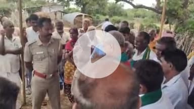 காங்கேயம்: பரஞ்சேர்வழி பகுதியில் தெரு நாய்கள் கடித்ததில் 10க்கும் மேற்பட்ட ஆடுகள் உயிரிழப்பு -விவசாயிகள் போராட்டத்தால் பரபரப்பு