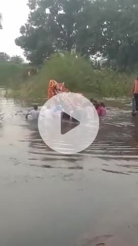 अभनपुर सकरी मे माता जी का विसर्जन संपन्न हुआ