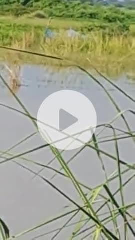 jimmedar nadaradarad krapya adhikari dyan de