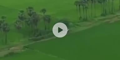 గుడివాడ: గుడివాడలో పోలీసుల అదుపులో పేకాటరాయుళ్లు