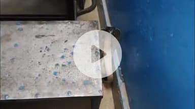 लाडपुरा: संदीपनी विद्या मंदिर नयागांव के स्कूल में घुसा कोबरा सांप, शिक्षक आए दहशत में और किया रेस्क्यू