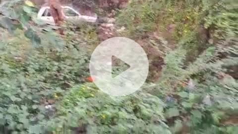 బీబీ నగర్: బీబీనగర్లోని ఇండ్ల మధ్యనే పిచ్చి మొక్కలు