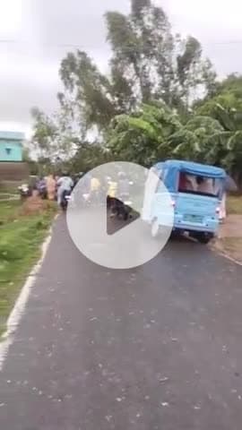 परिहार: परिहार में बारिश और आंधी से पेड़ गिरे, आवागमन बाधित