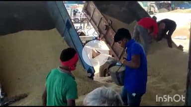 सरदारपुर: राजगढ़ मंडी में 4 अक्टूबर को सोयाबीन की 1134 बोरी की आवक, ₹4399 प्रति क्विंटल रहा उच्चतम भाव