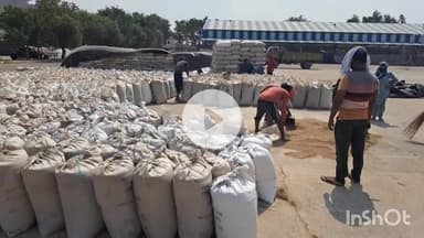 चरखी दादरी: 12 दिन बाद भी च.दादरी मंडी में बाजरा की सरकारी खरीद शुरू नहीं, किसान प्राइवेट खरीद में बेचने को मजबूर