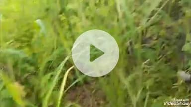 बेगमगंज: बेगमगंज पुलिस को मिली सफलता, सुल्तानगंज के नईगढ़िया गांव में 25 सितंबर को कुएं में मिला था शव