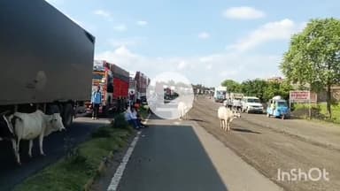 मालथोन: बांदरी में डॉ. आंबेडकर की मूर्ति तोड़ी गई, लोगों ने गुस्से में किया चक्का जाम