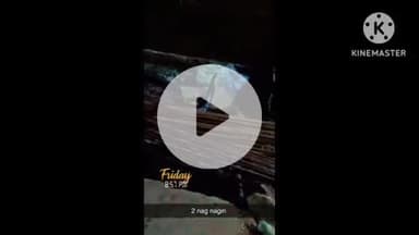 खुरई: घोरट में नाग-नागिन का जोड़ा घंटों तक करता रहा प्रेमालाप नृत्य, ग्रामीणों ने डर से मारकर किया अंतिम संस्कार