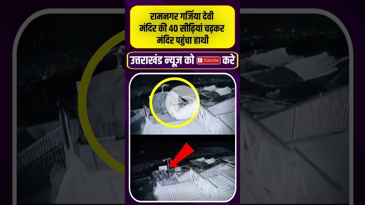 Ramnagar देवी मंदिर की 40 सीढ़ियां चढ़कर मंदिर पहुंचा हाथी #elephantviralvideo #uttarkhandnews