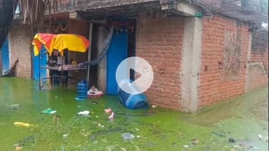 सासाराम: सासाराम रेलवे स्टेशन किनारे मोहद्दीगंज वार्ड की बदहाल स्थिति