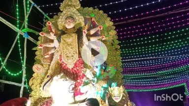 शिकारीपाड़ा: शिकारीपाड़ा में नम आंखों से माँ दुर्गा की प्रतिमा का विसर्जन किया गया