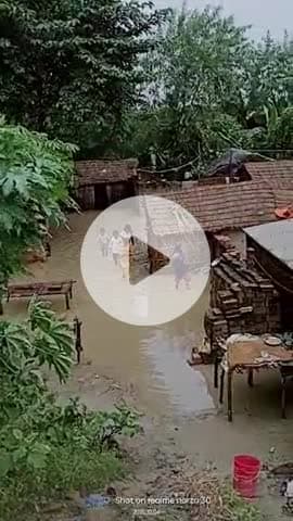 गाढ़ा हसन पारू थाना 11नंबर वार्ड दक्षिणी । में भीषण बारिश होने से 20घर  पानी  में डूबा #आजतक